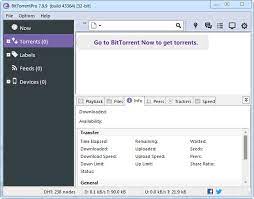 BitTorrent Pro 7.11.0.46829 downloading