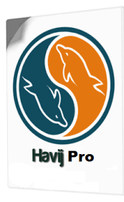 Havij Pro Crack 1.17 + Windows Malware Removal Software (PC\Mac) {updated} 2022 Free Download 